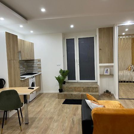 Appartement Luxe Jaune แซงต์-เอเตียน ภายนอก รูปภาพ