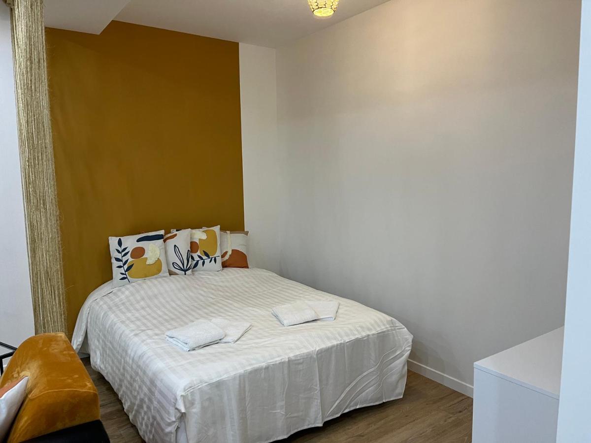 Appartement Luxe Jaune แซงต์-เอเตียน ภายนอก รูปภาพ
