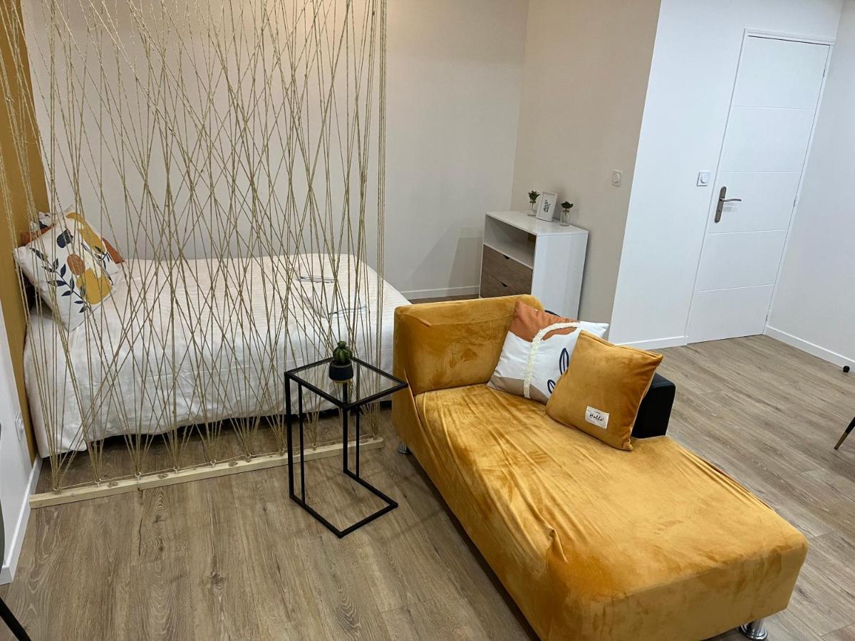 Appartement Luxe Jaune แซงต์-เอเตียน ภายนอก รูปภาพ