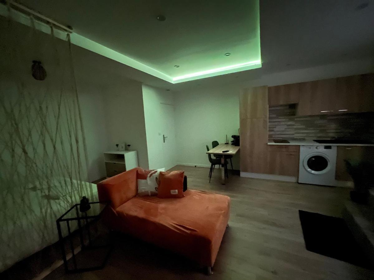 Appartement Luxe Jaune แซงต์-เอเตียน ภายนอก รูปภาพ