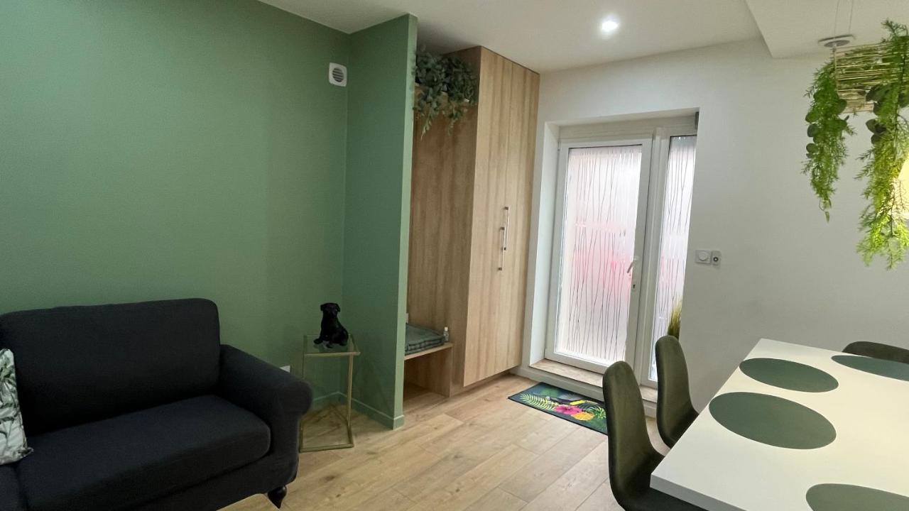Appartement Luxe Jaune แซงต์-เอเตียน ภายนอก รูปภาพ